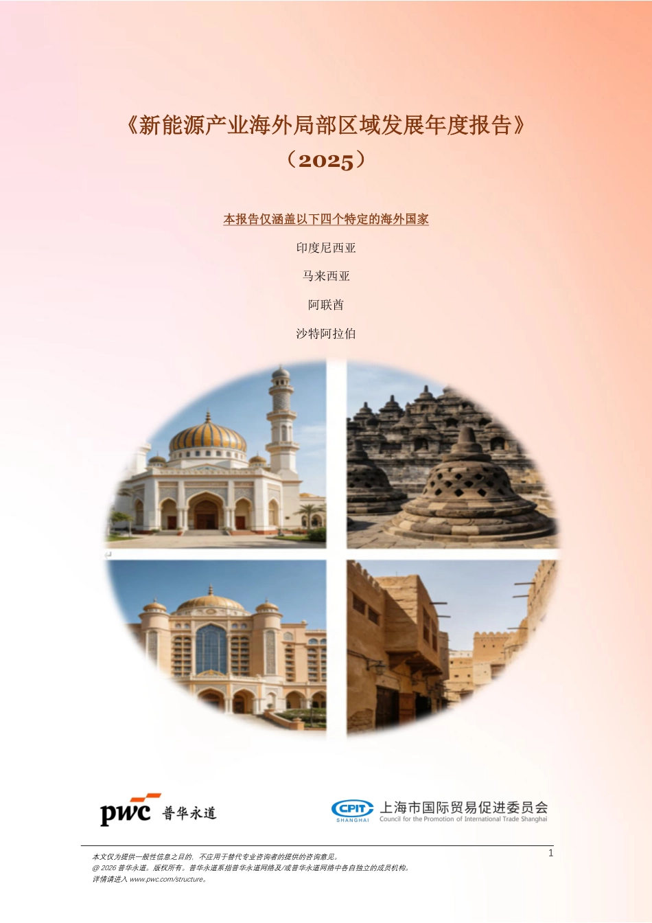 上海贸促会：新能源产业海外局部区域发展年度报告 (1)_第1页