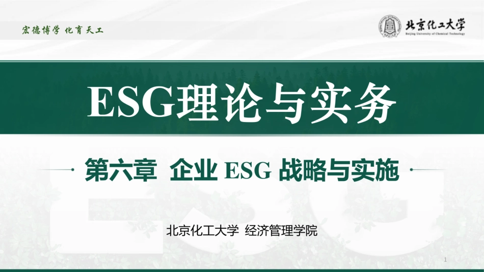 ESG理论与实务：企业ESG战略与实施_第1页