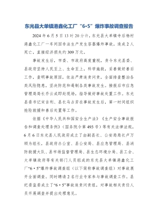东光县大单镇港鑫化工厂“6•5”爆炸事故调查报告