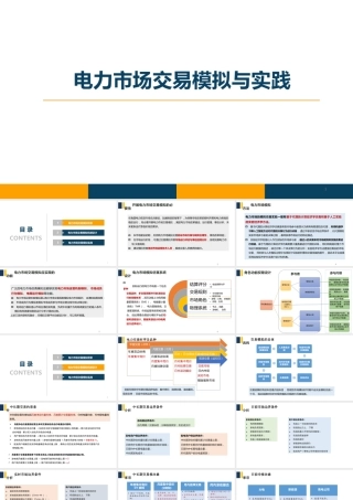 电力市场交易模拟与实践