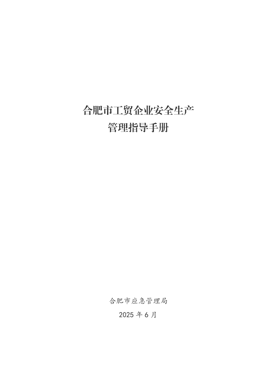 《合肥市工贸企业安全生产管理指导手册》_第1页