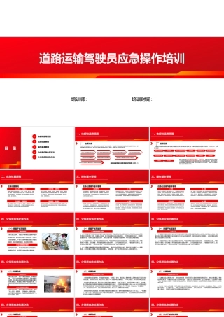 AQ6030702道路运输驾驶员应急操作培训