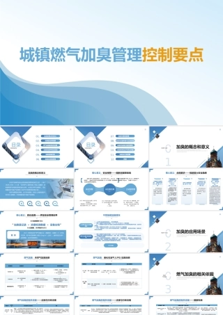 城镇燃气加臭管理控制要点知识培训