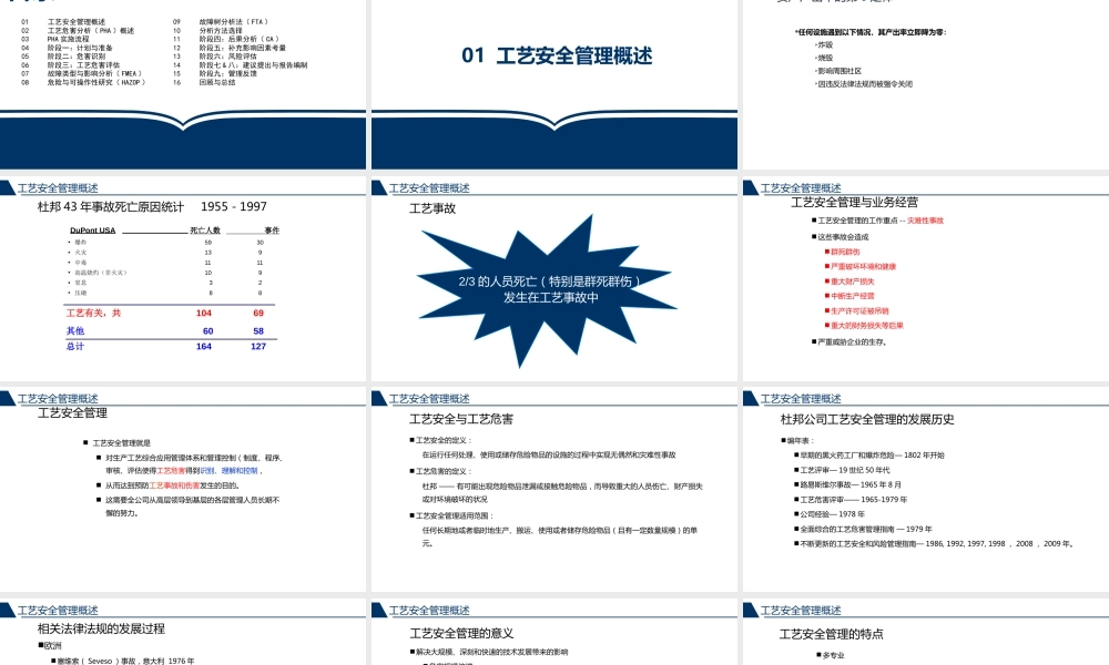 杜邦工艺安全分析PHA精讲