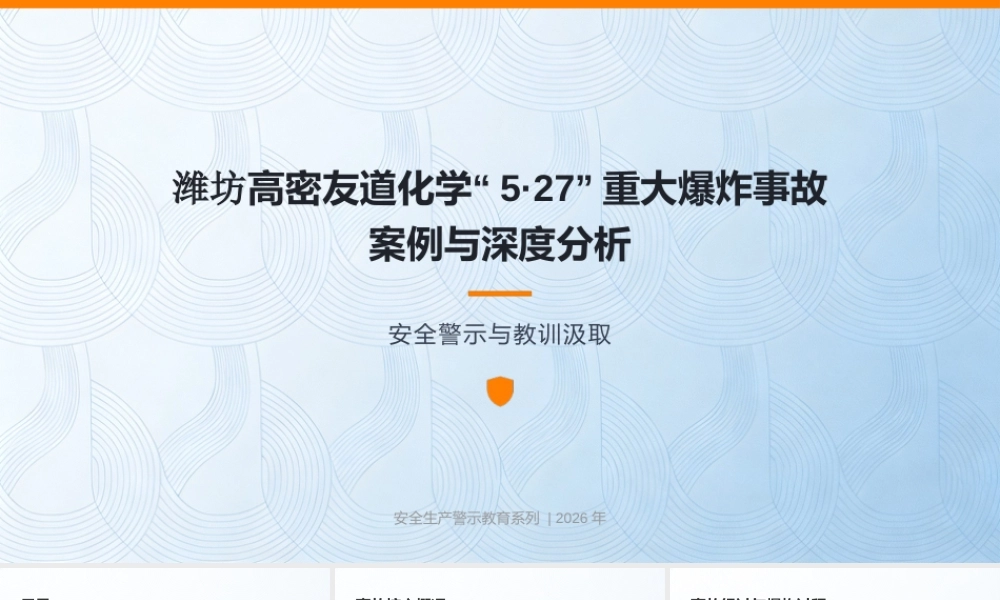 山东潍坊高密友道化学爆炸事故案例分析
