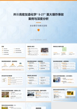 山东潍坊高密友道化学爆炸事故案例分析
