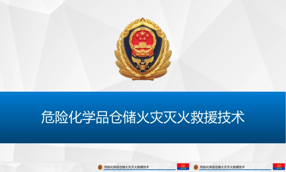 危险化学品仓储火灾灭火救援技术 (1)