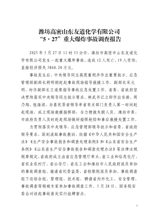 潍坊高密山东友道化学有限公司“5·27”重大爆炸事故调查报告
