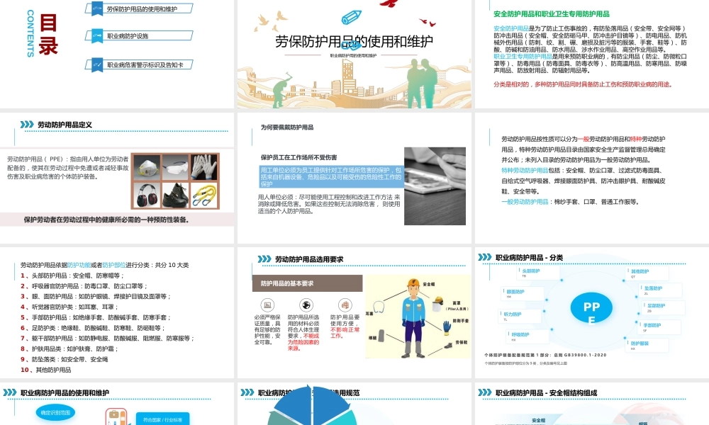 -职业病防护设施与个体防护用品的使用和维护 (1)