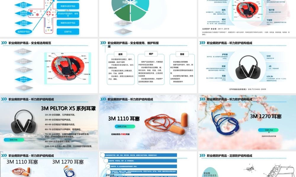 -职业病防护设施与个体防护用品的使用和维护 (1)
