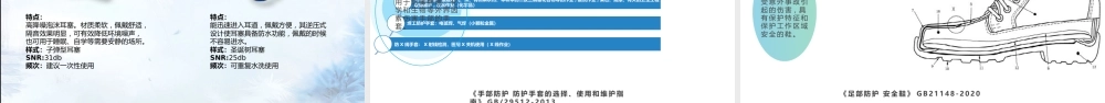 -职业病防护设施与个体防护用品的使用和维护 (1)