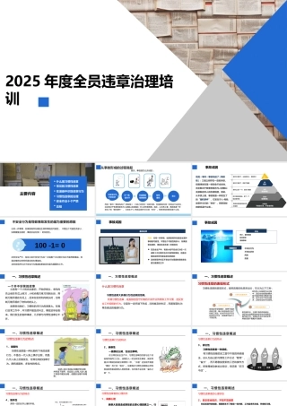 -2025年度全员违章治理培训