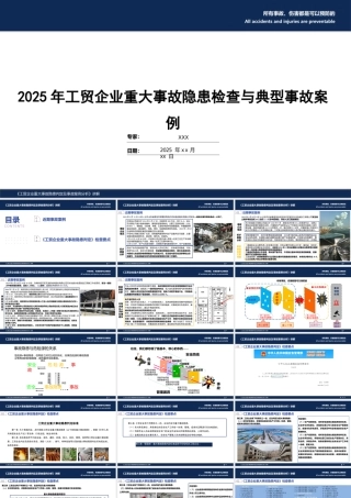-2025年工贸企业重大事故隐患检查与典型事故案例