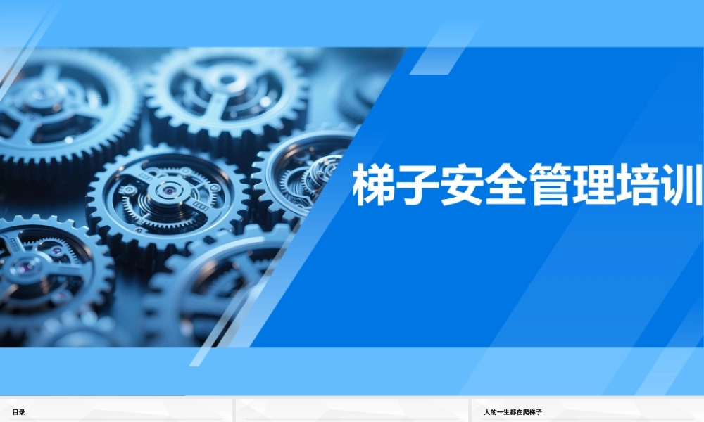 -2025梯子安全知识专项培训