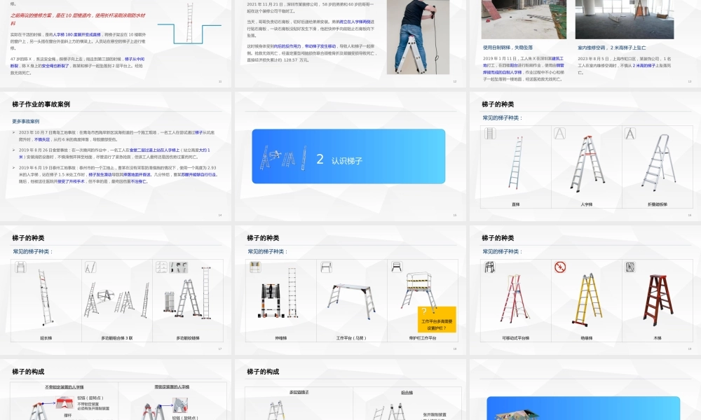 -2025梯子安全知识专项培训