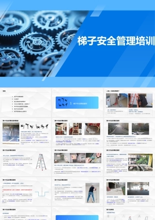 -2025梯子安全知识专项培训