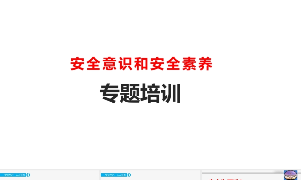 安全意识和素养专题培训