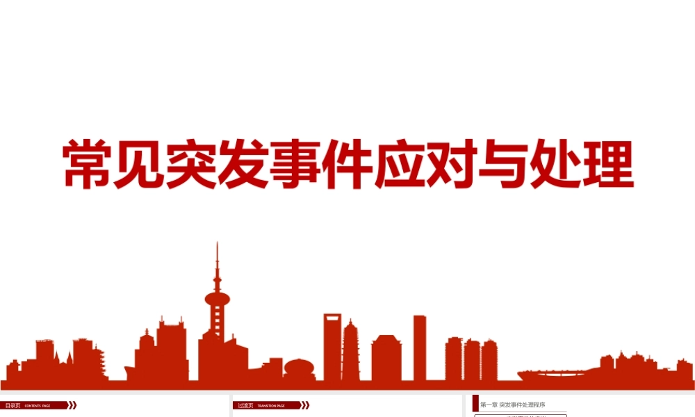 常见突发事件的应对与处理