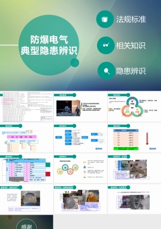 防爆电气典型隐患辨识