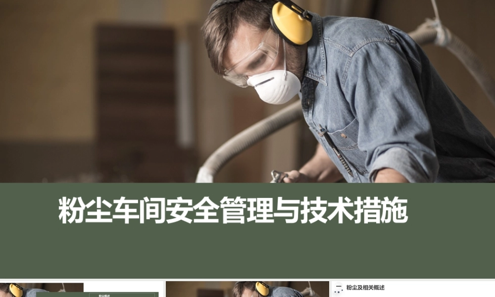 粉尘车间安全管理与技术措施-60页
