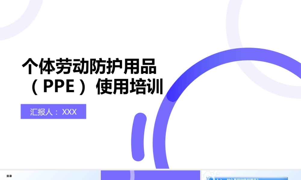 个人劳动防护用品穿戴使用培训(实用版)