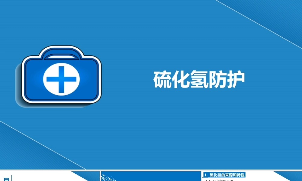 硫化氢防护知识培训-69页