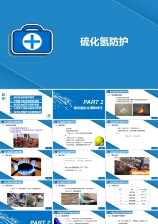 硫化氢防护知识培训-69页