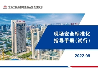 现场安全标准化指导手册2022年（162页）