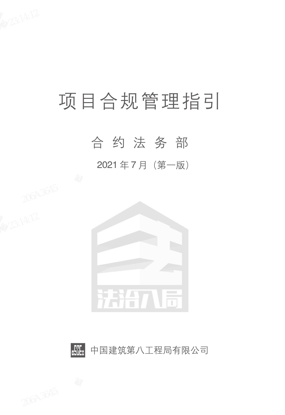 项目合规管理指引2021word（240页）_第1页