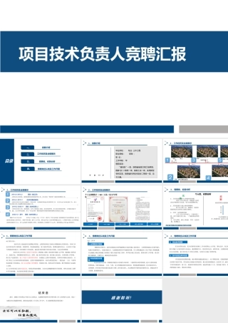 项目技术负责人竞聘汇报ppt（12页）