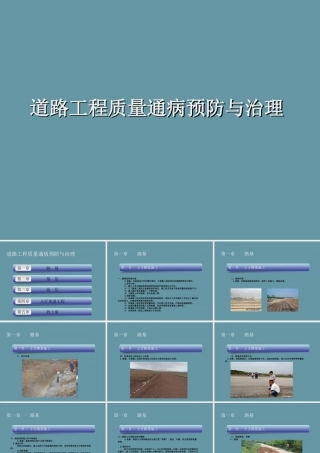 道路工程质量通病预防与治理讲解（116页）