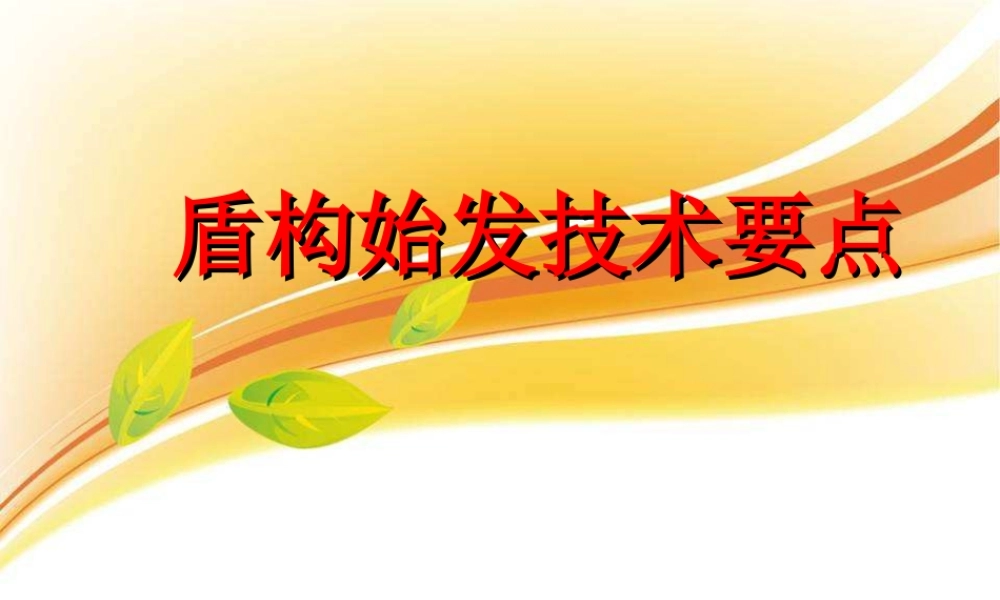 盾构始发技术要点ppt(45页)