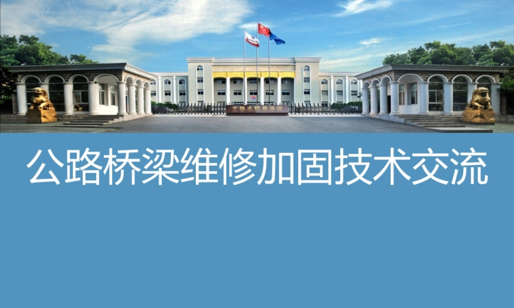 公路桥梁维修加固技术交流ppt（127页） (1)