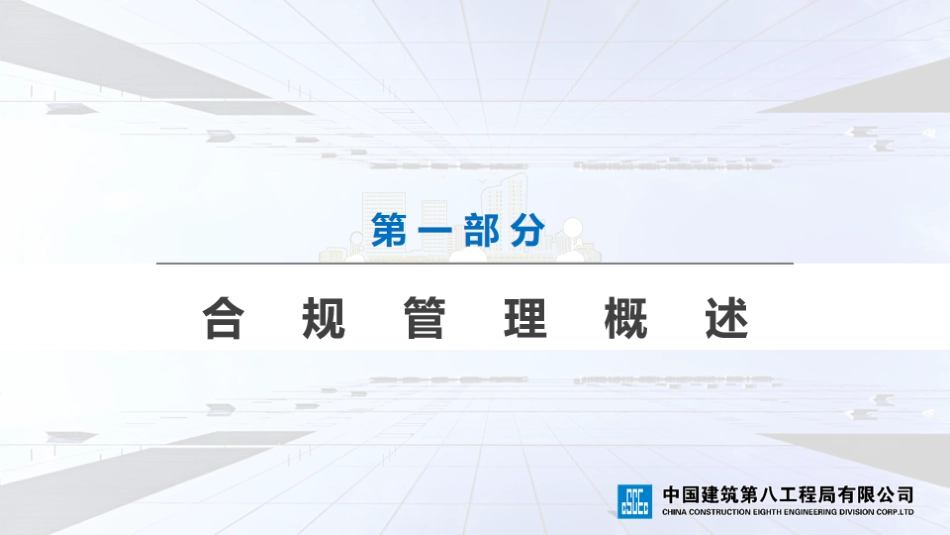 基础设施项目合规管理2021年（109页）_第3页