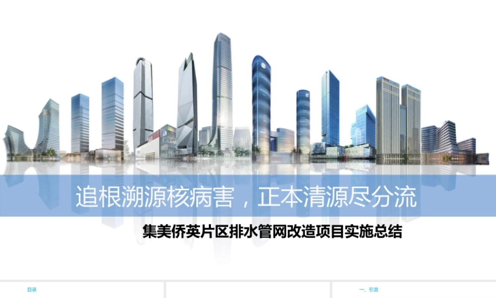 排水管网改造项目实施总结（38页）