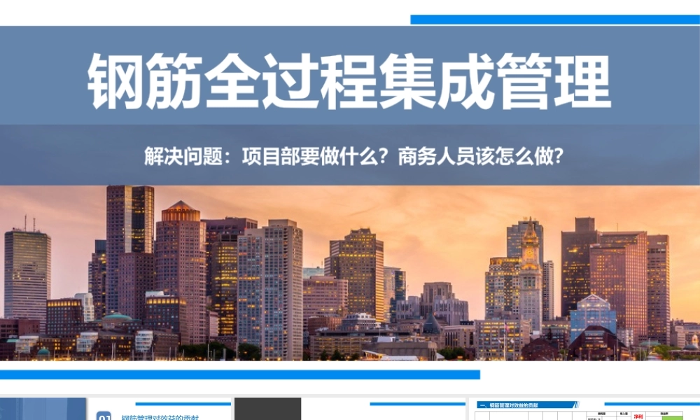 钢筋全过程集成管理（39页）