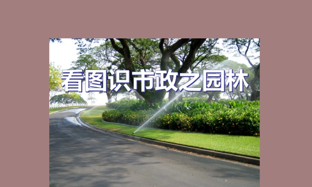 看图识市政之园林ppt(78页)