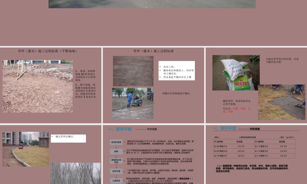 看图识市政之园林ppt(78页)
