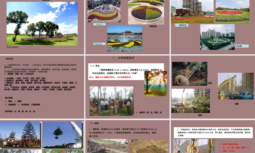 看图识市政之园林ppt(78页)