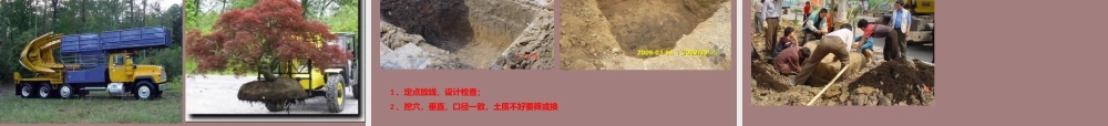 看图识市政之园林ppt(78页)