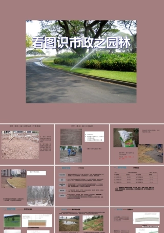 看图识市政之园林ppt（78页）