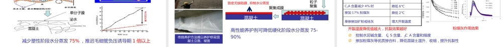 桥梁结构混凝土关键技术PPT2020（70页）