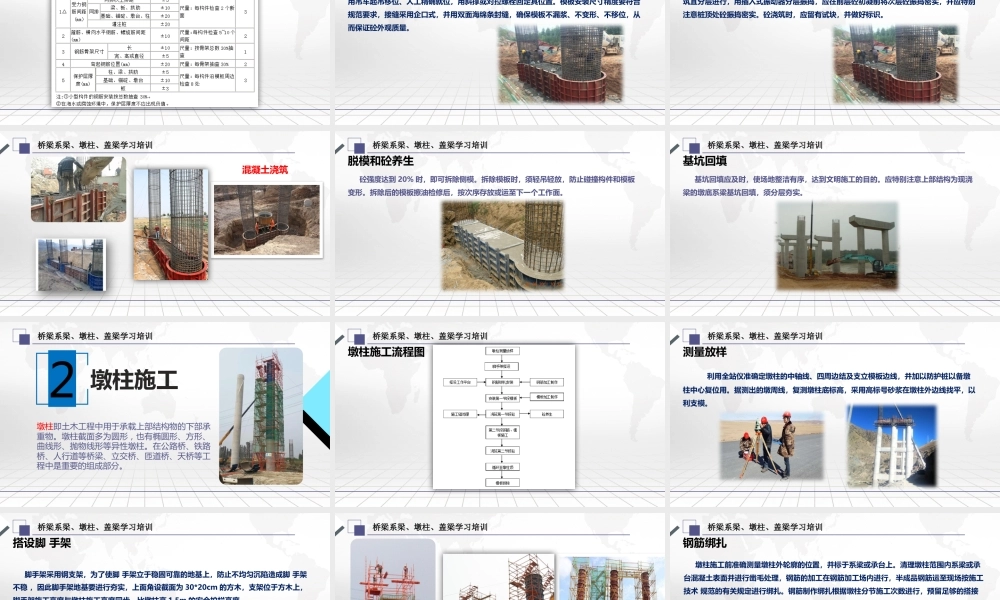 桥梁系梁、墩柱、盖梁技术培训ppt(61页)