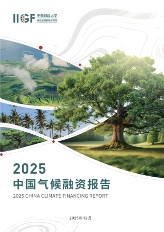 中财大绿金院：2025中国气候融资报告