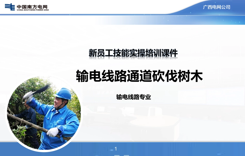 输电线路砍伐通道树木_第1页