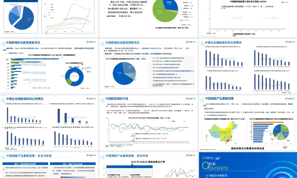 储能技术与产业最新进展与展望——暨《储能产业研究白皮书2026》发布