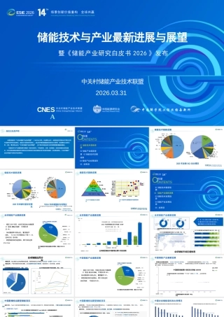 储能技术与产业最新进展与展望——暨《储能产业研究白皮书2026》发布