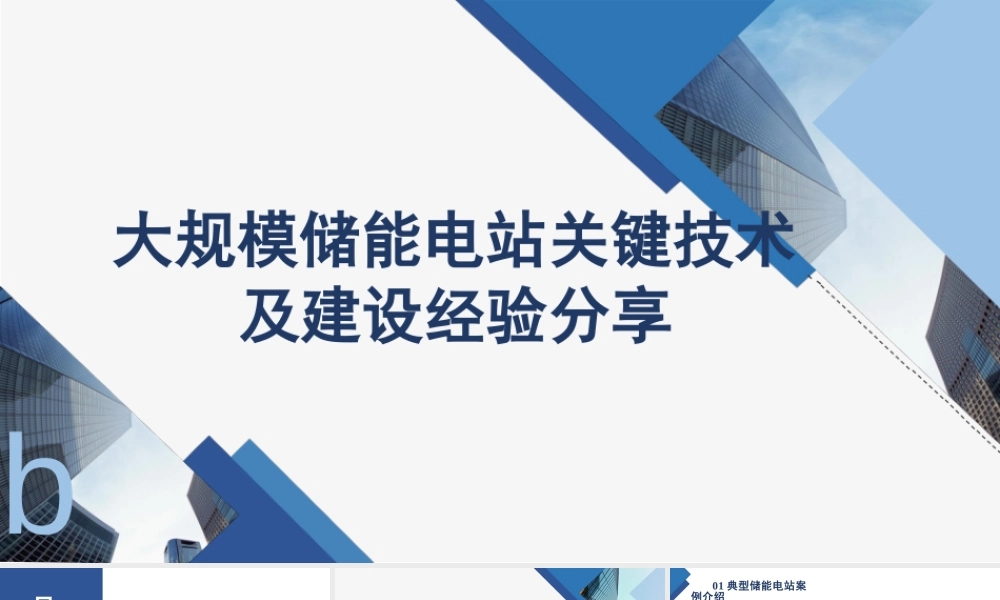 大规模储能电站关键技术及建设经验分析报告