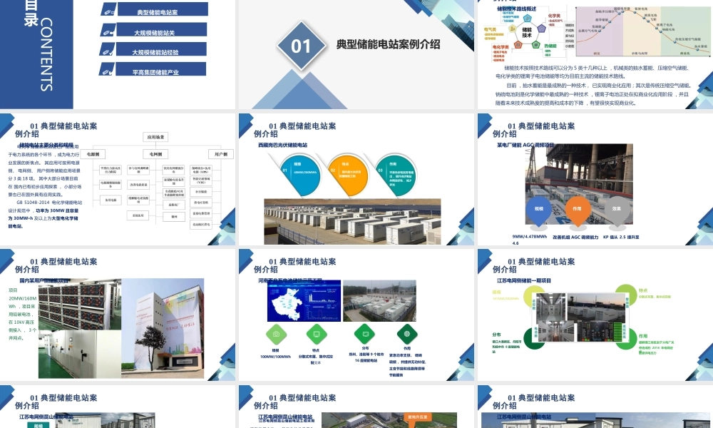 大规模储能电站关键技术及建设经验分析报告