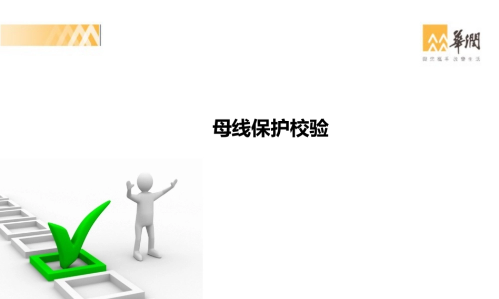 母线保护校验方法